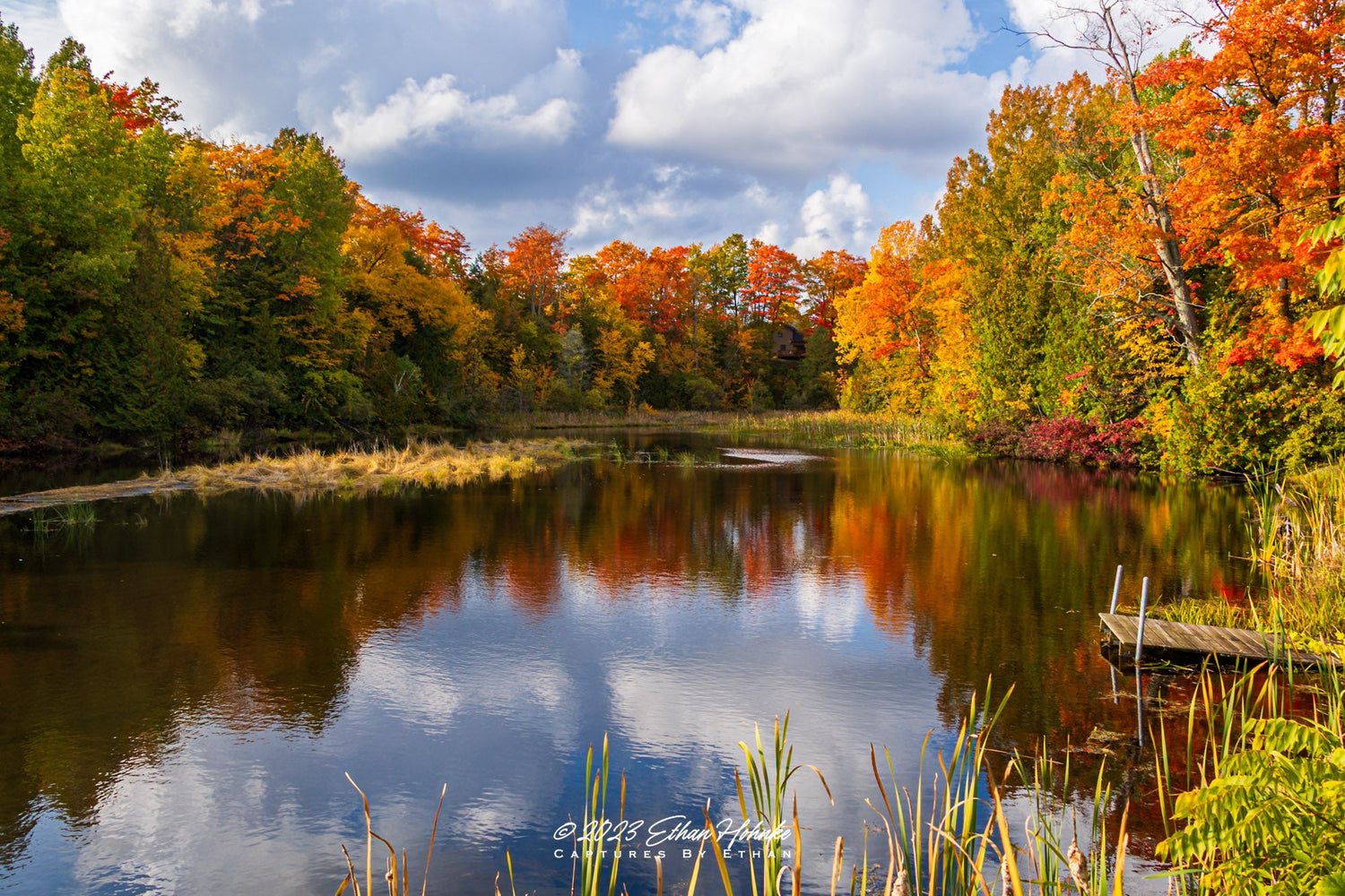 Fall Landscapes