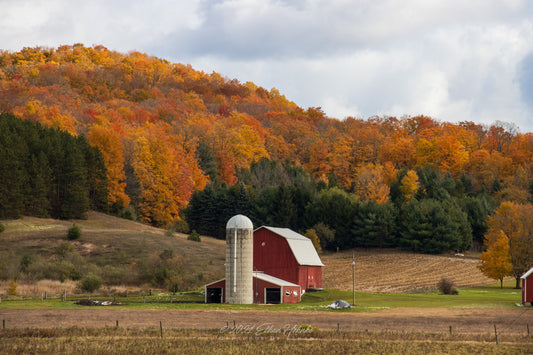 Garvin Barn Fall Color - Print