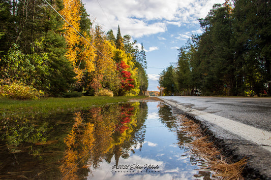 Leelanau Roadside Rain Puddle