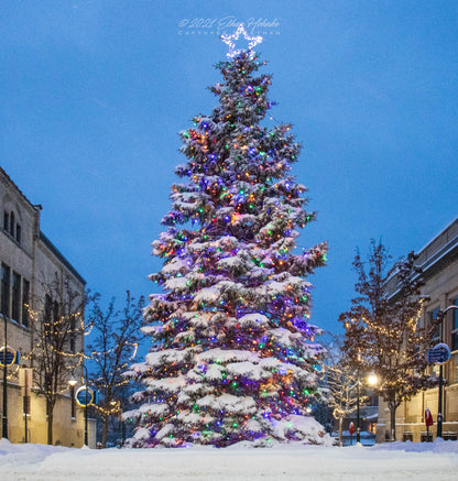 Traverse City Christmas Tree After Snowfall - Print (Portrait Orientation)