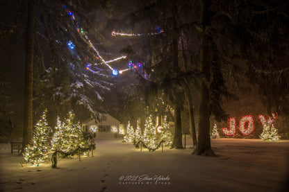 Holiday JOY at the Old Art Building in Leland - Print