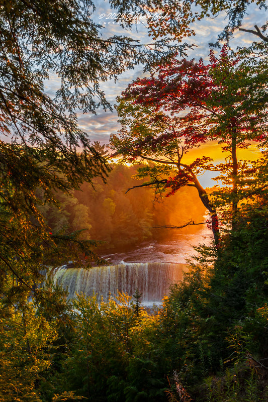 Golden Hour Sunset over Upper Tahquamenon Falls (Portrait Orientation) - Print