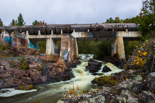 Wright Street Falls with Hints of Autumn - Print