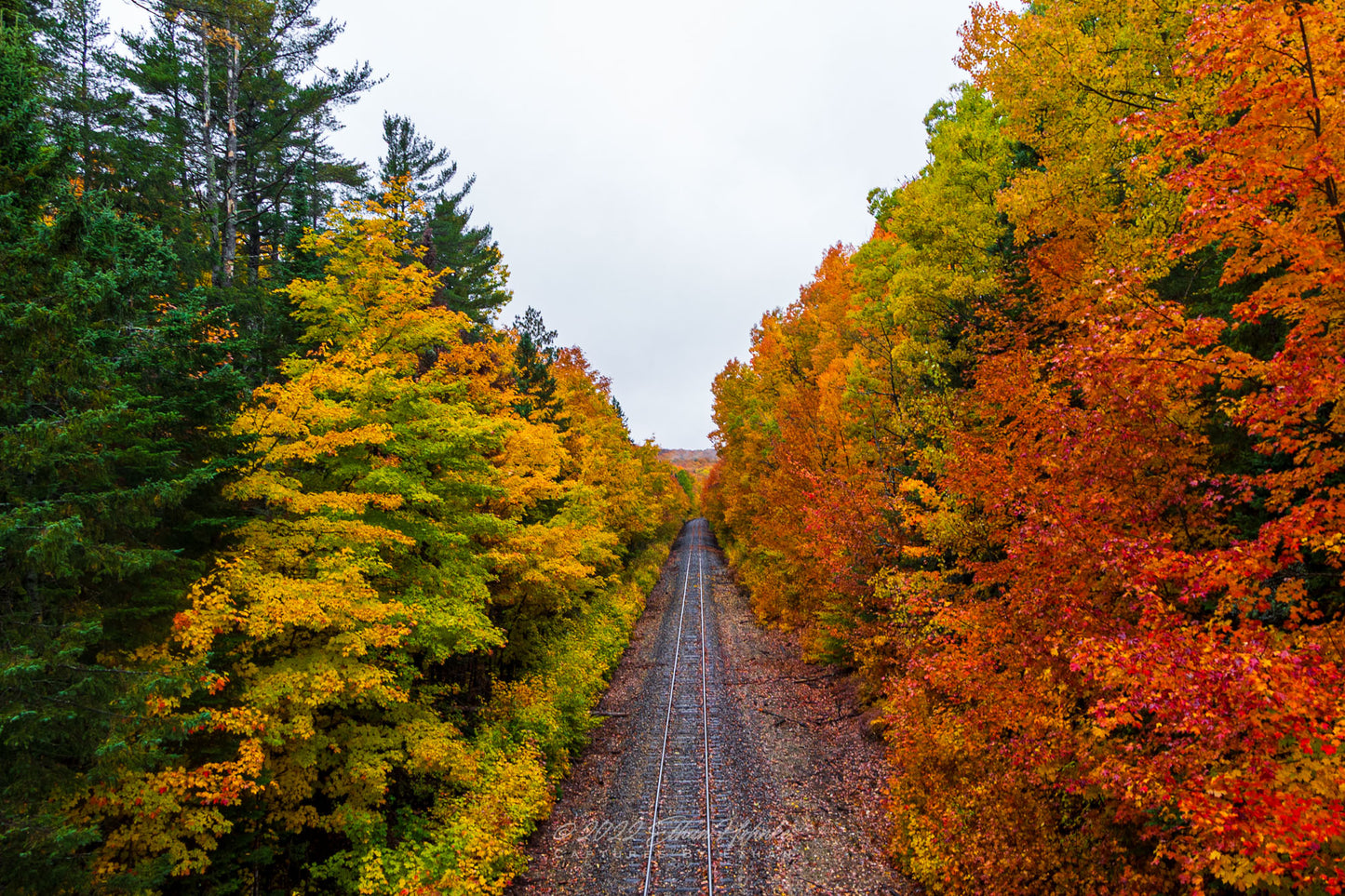 Train Tracks in Michigan's Upper Peninsula, Surrounded By Autumn Color - Print