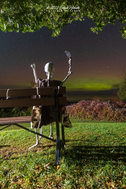 Halloween Skeleton Celebrates Aurora Sighting - Print