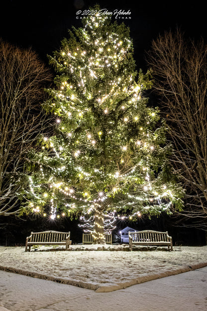 May Your Christmas Be Merry & Bright - Print (Portrait Orientation)