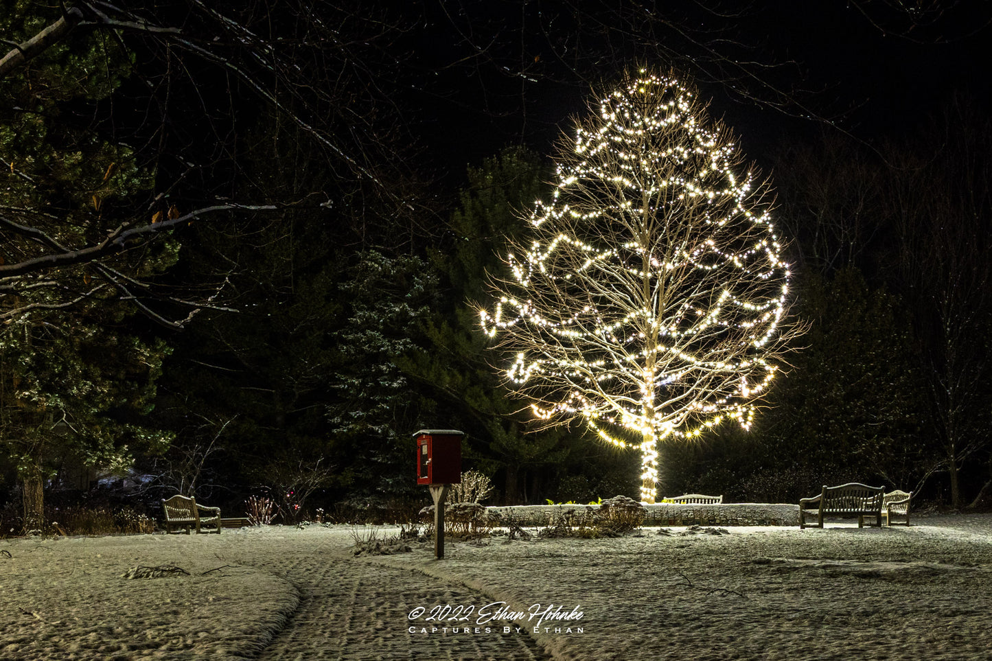 Walking in a Winter Wonderland - Print