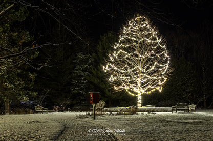Walking in a Winter Wonderland - Print