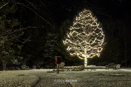 Walking in a Winter Wonderland - Print