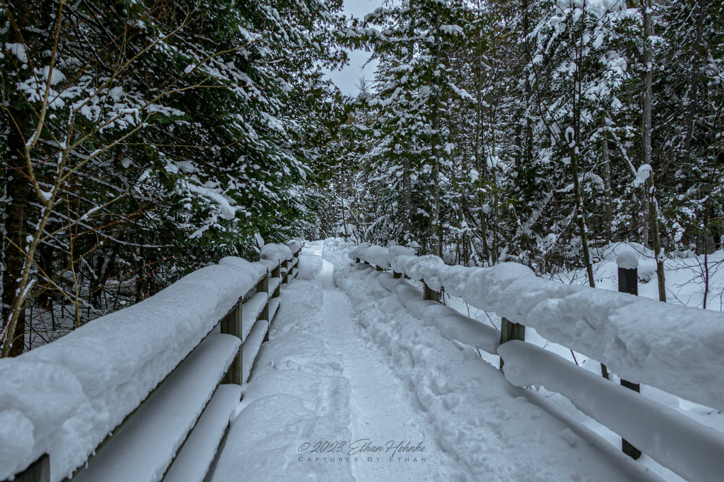 Wintery Walk in the Upper Peninsula - Print