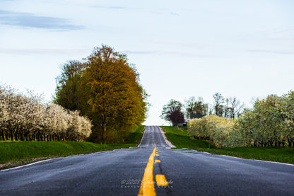 Scenic Spring Drive in Leelanau - Print