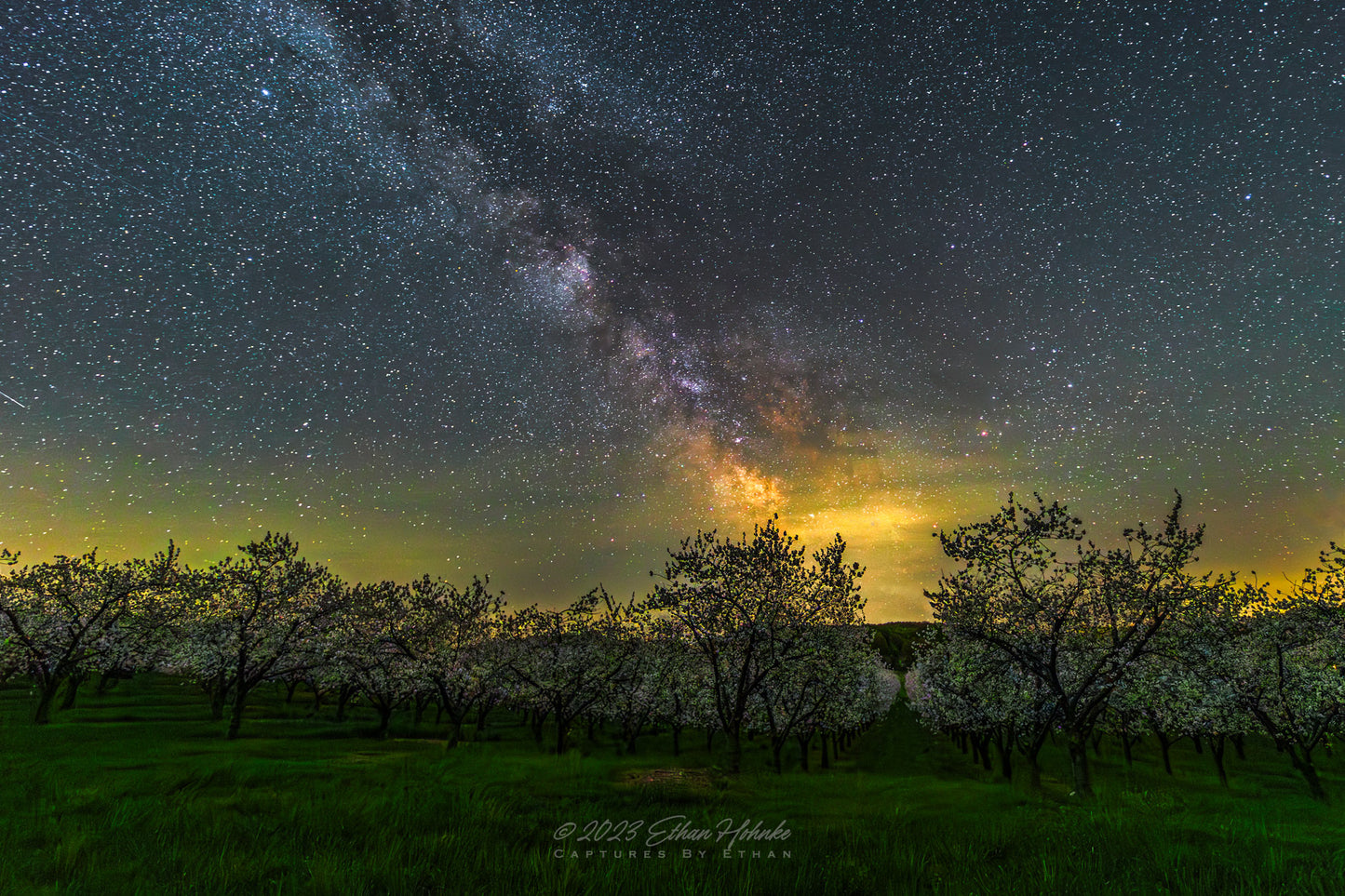Milky Way over Cherry Orchard in Bloom