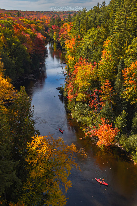 Kayaking the Dead River, Michigan's Upper Peninsula (Portrait Orientation)