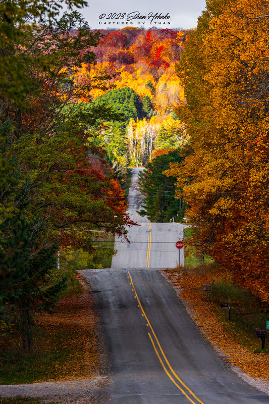 Leelanau County Backroads III, Narlock Road (Portrait Orientation)