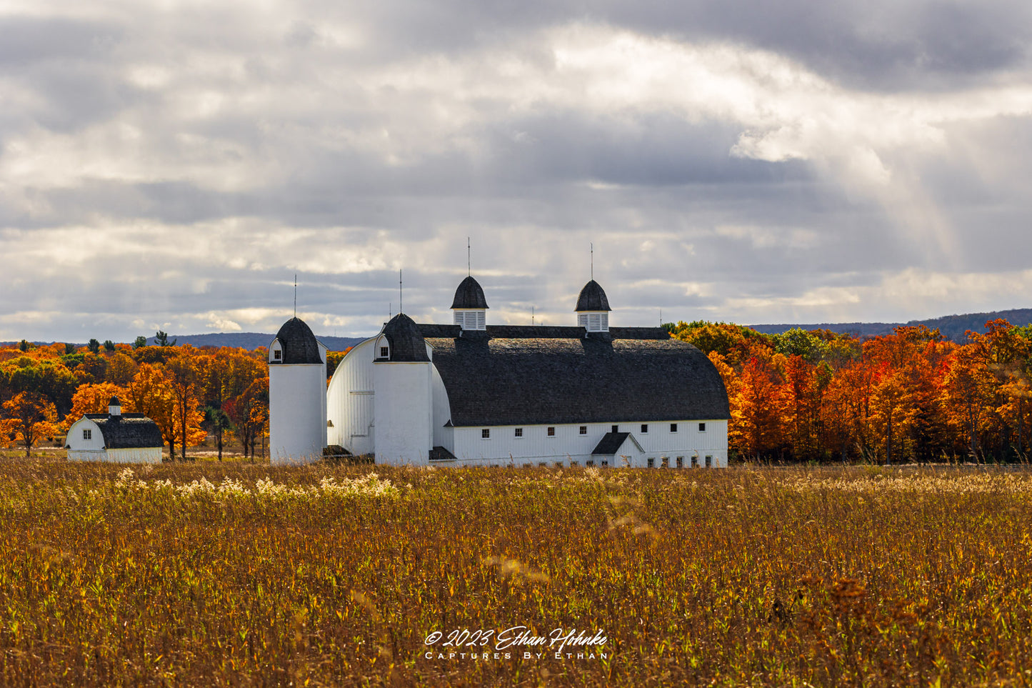Autumn at D.H. Day Farm, Sleeping Bear Dunes - Print