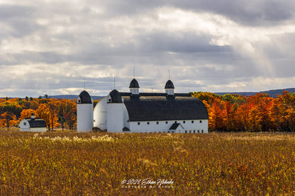 Autumn at D.H. Day Farm, Sleeping Bear Dunes - Print