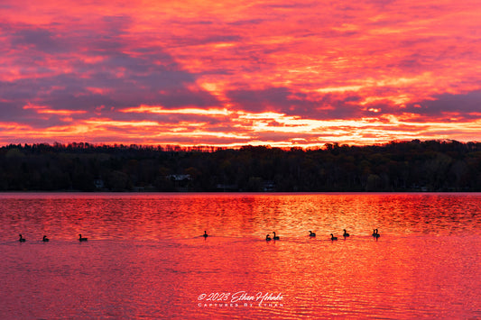 Morning Swim Sunrise over Lake Leelanau, Veteran's Day 2023