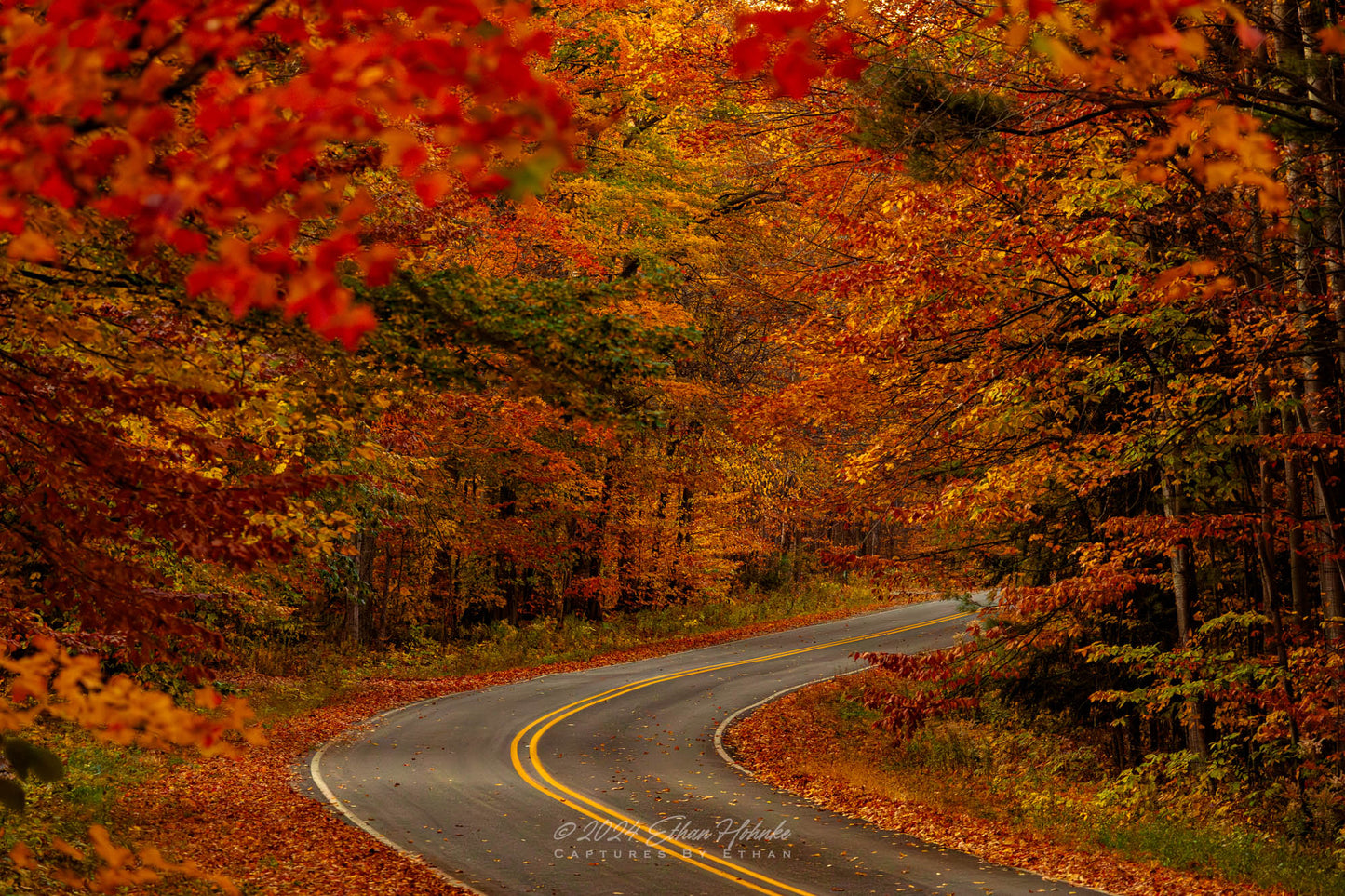 Fall Color on Gills Pier Road - Print
