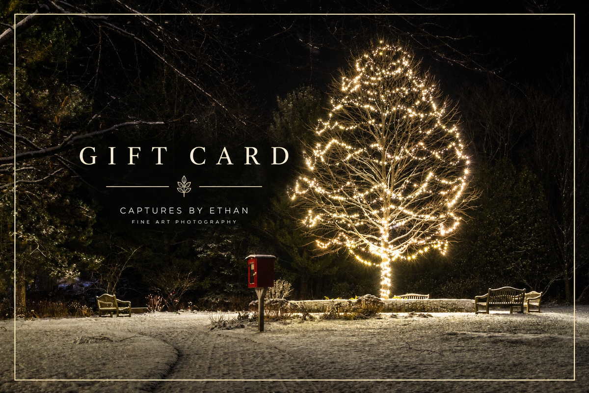 Gift card design with snowy winter photo