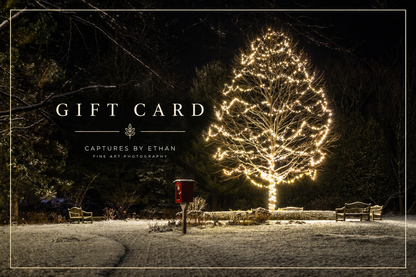 Gift card design with snowy winter photo