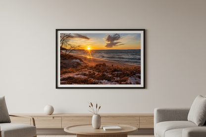 Large fine art landscape print of golden starburst sunset raking warm light across snow-dusted sandy beach with glowing dune grass bare winter trees and rolling Lake Michigan waves at Leland Michigan February 2023 displayed in modern living room