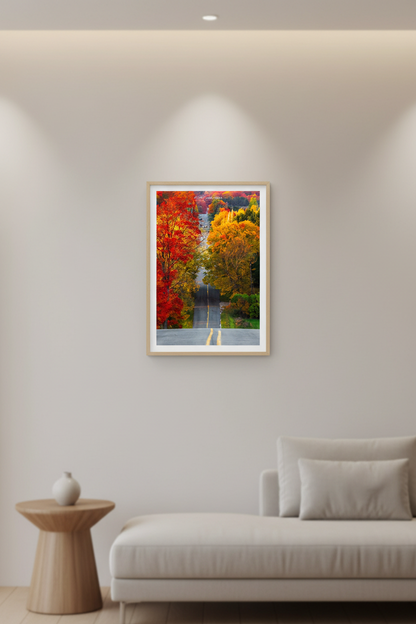 Small fine art portrait print of peak fall foliage color tour road in Leelanau County Michigan displayed in modern living room
