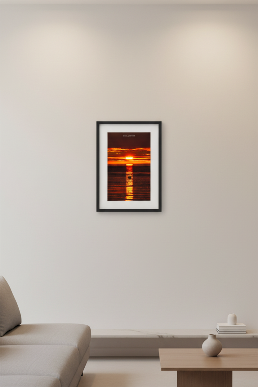 Small fine art portrait print of swan silhouette centered in golden reflection path beneath deep crimson orange layered sky at Gills Pier Lake Michigan May 2024 displayed in modern living room