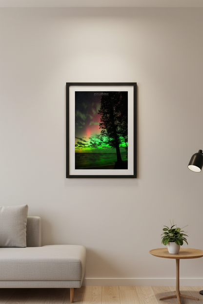 Small fine art portrait print of aurora borealis behind a silhouetted pine tree at Magoon Creek Natural Area Manistee County displayed in modern living room