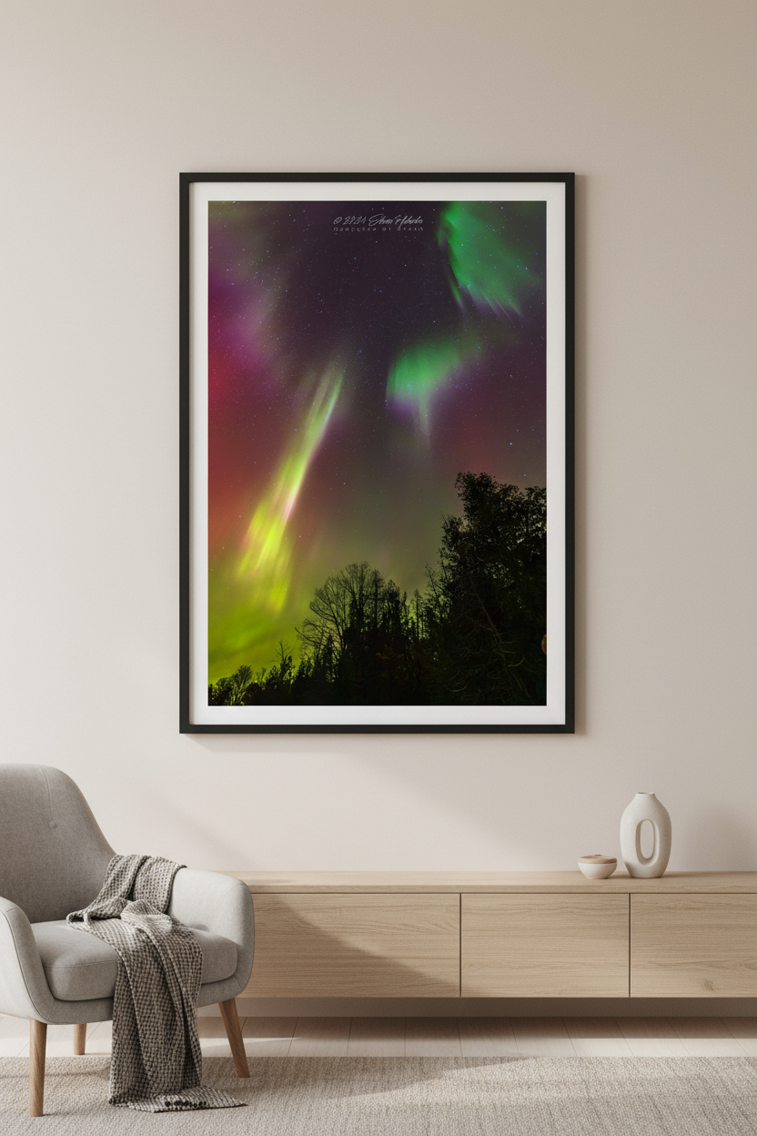 Large fine art portrait print of twin diagonal aurora pillars in vivid yellow-green and pinkish-white against deep purple-magenta sky with crimson red aurora glow and silhouetted tree line at North Bar Lake Michigan October 11 2024 at 1:12am displayed in modern living room