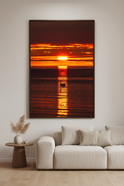 Large fine art portrait print of swan silhouette centered in golden reflection path beneath deep crimson orange layered sky at Gills Pier Lake Michigan May 2024 displayed in modern living room