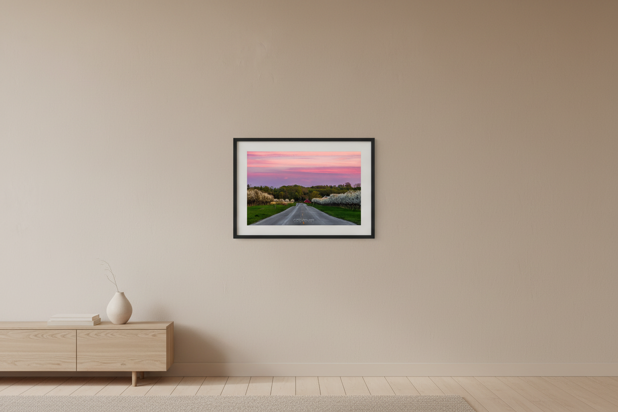 Small fine art print of cherry blossom orchard lining a centered rural road leading to a red barn under a vivid pink magenta purple sunset sky in Leelanau County Michigan May 5 2024 displayed in modern living room