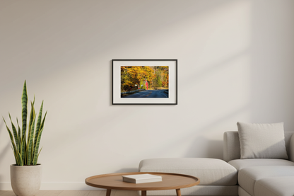 Small fine art landscape print of the Little Red Schoolhouse on M-22 surrounded by fall color Michigan displayed in modern living room