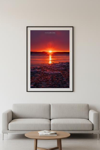 Large fine art portrait print of blazing crimson sunrise with glowing pancake ice floes on Good Harbor Bay Michigan February 2023 displayed in modern living room