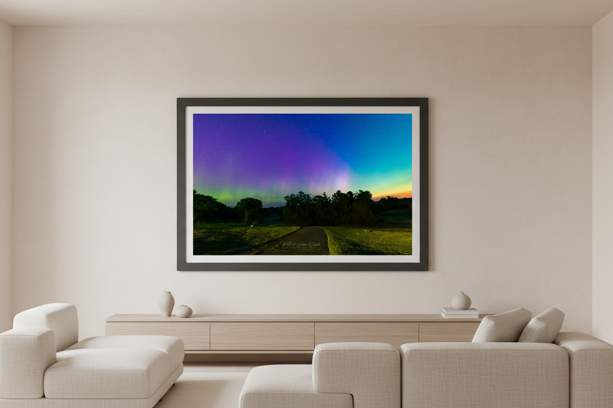 Large fine art landscape print of full-spectrum aurora with purple violet canopy green band and white pink pillar over silhouetted trees at Leland Golf Course Michigan September 17 2024 at 6:19am with teal to amber horizon glow displayed in modern living room