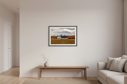 Small fine art landscape print of D.H. Day Farm white barn with autumn foliage at Sleeping Bear Dunes displayed in modern living room