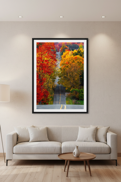 Large fine art portrait print of peak fall foliage color tour road in Leelanau County Michigan displayed in modern living room