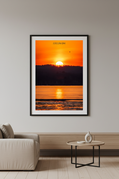 Large fine art portrait print of a fiery telephoto sunrise with massive sun rising above silhouetted treeline over partially frozen Lake Leelanau with golden reflection path and single bird in flight February 27 2024 displayed in modern living room